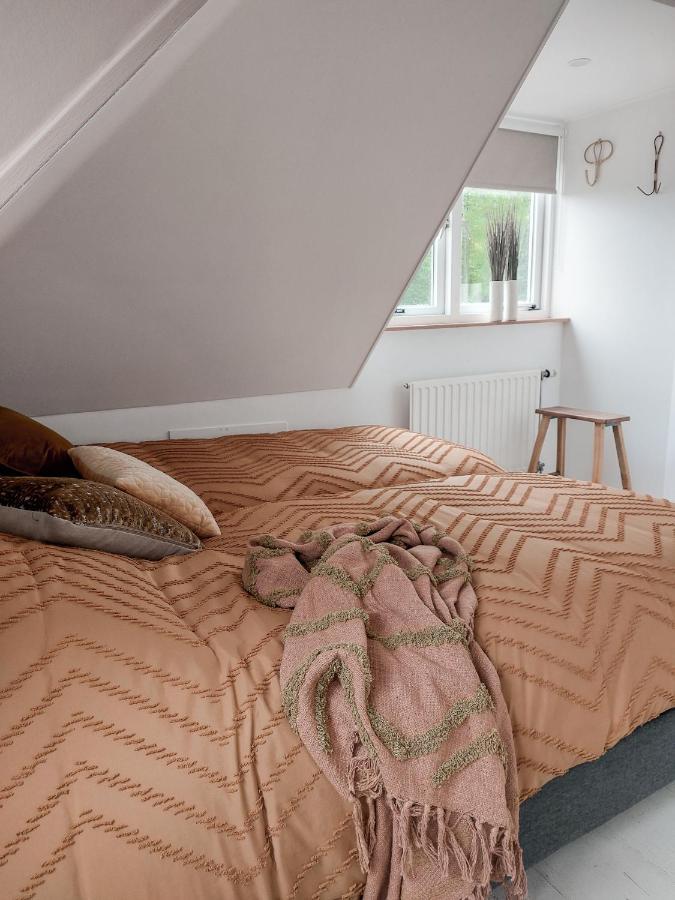 Luxe Vakantiehuis Nova Met Zwembad 奥德多普 外观 照片