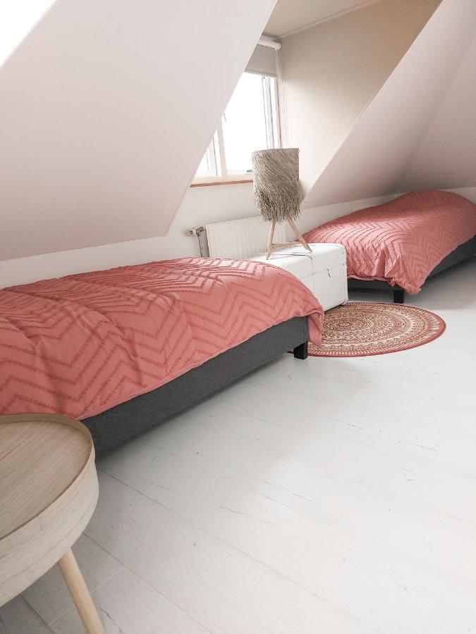 Luxe Vakantiehuis Nova Met Zwembad 奥德多普 外观 照片