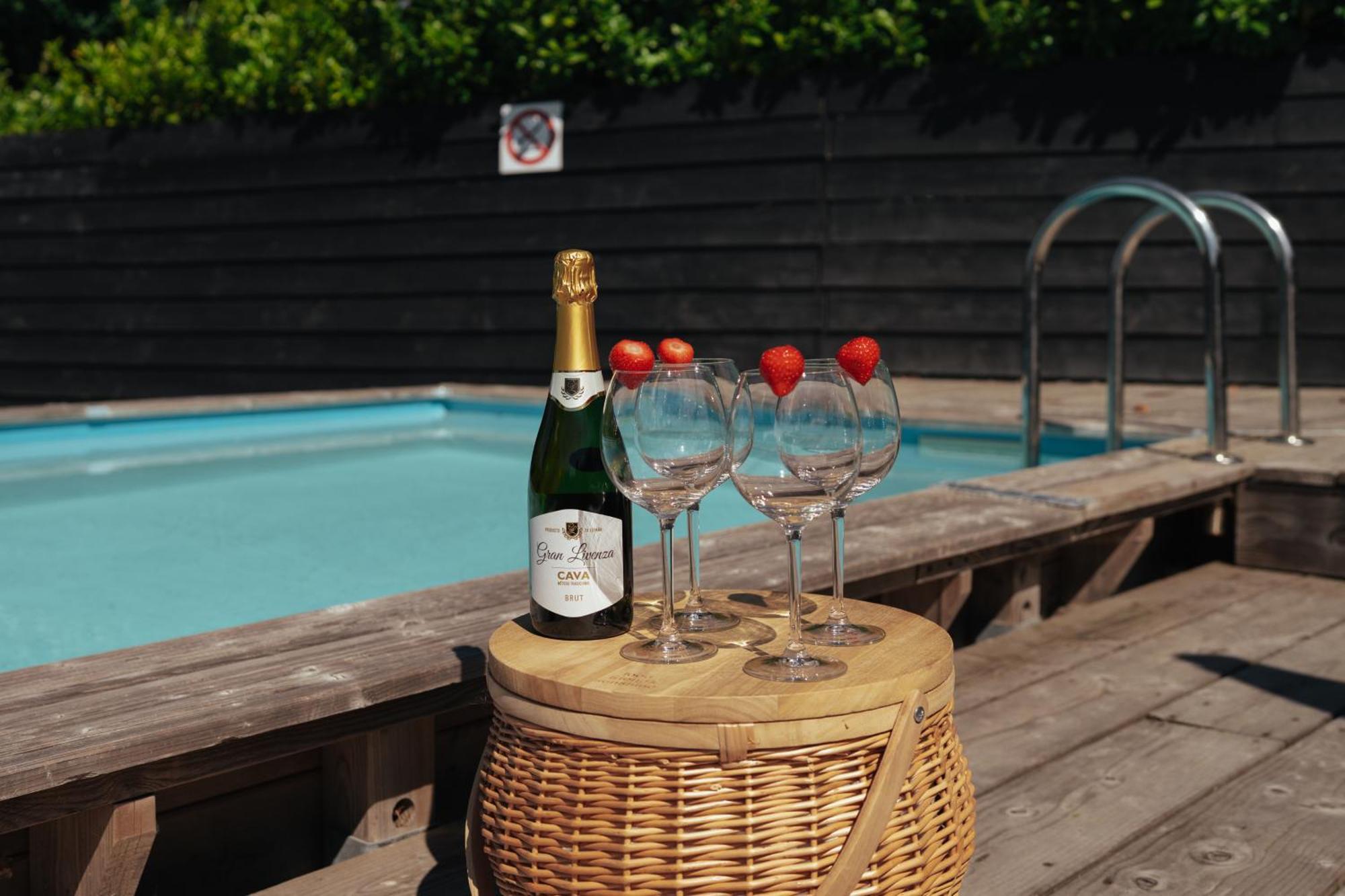 Luxe Vakantiehuis Nova Met Zwembad 奥德多普 外观 照片